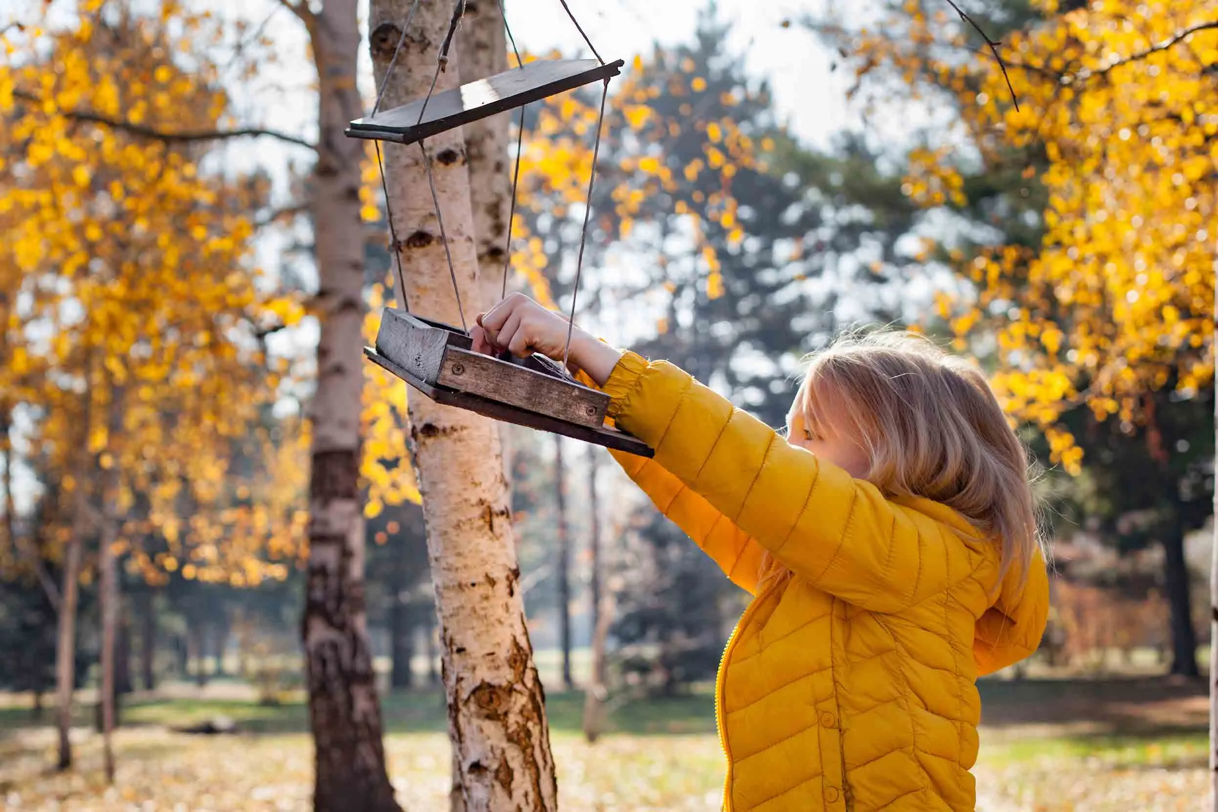 A child in a yellow coat reaching into a hanging bird feeding table, to place seed into the tray.